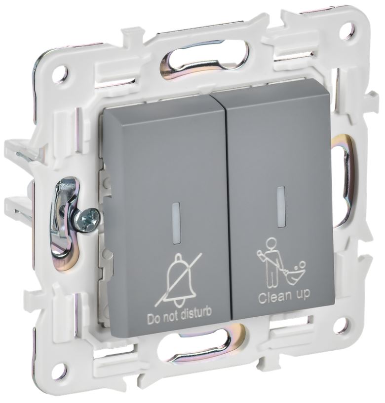 

Выключатель двухклавишный с подсветкой IEK SK-V20-2-10-K03 SKANDY для отелей 10А SK-V16Gr серый, SK-V20-2-10-K03