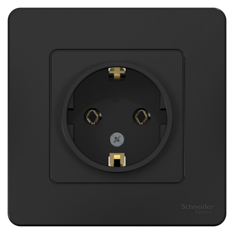 фото Розетка  Systeme Electric BLNRS001016 в Екатеринбурге
