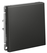 фото Выключатель одноклавишный Systeme Electric GAL001411S
