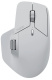 фото Мышь wireless Rapoo MT760L-GWHT в Казани