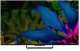 фото Телевизор  Haier DH1ZH0D00RU в Санкт-Петербургe