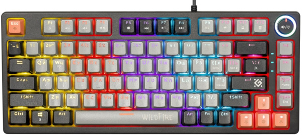 фото Клавиатура  Defender Wildfire GK-213 RU в Красноярске