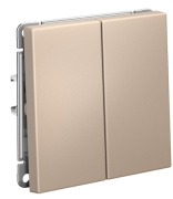 фото Выключатель двухклавишный Systeme Electric GAL001217S
