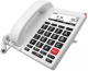 фото Телефон VoiceIP  Flying Voice FIP12WP в Ростове-на-Дону