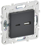 фото Розетка USB IEK SK-U22-018-K48
