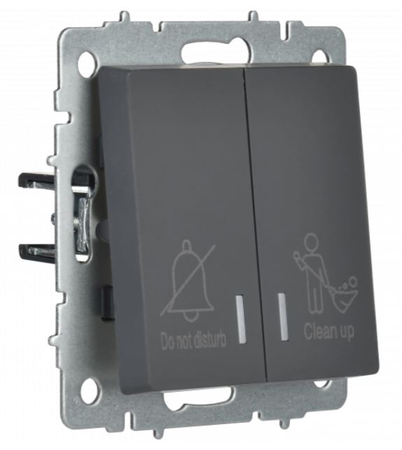 

Выключатель двухклавишный с подсветкой IEK BR-V20-2-10-K53 BRITE отел. 10А ВС10-2-9-БрГ Графит, BR-V20-2-10-K53