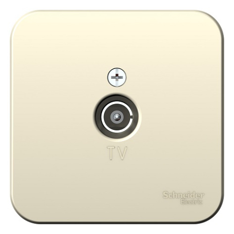 фото Розетка  Systeme Electric BLNTA000012 в Омске