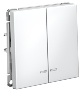 фото Выключатель двухклавишный с подсветкой Systeme Electric GAL001353S