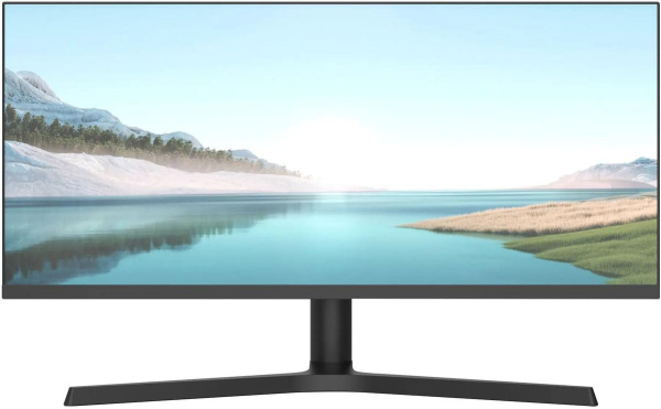 фото Монитор 29" NPC MZ300L в Уфе