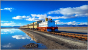 фото Информационный дисплей 55