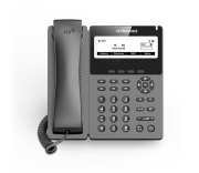 фото Телефон VoiceIP Flying Voice P22P