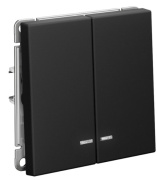 фото Выключатель двухклавишный с подсветкой Systeme Electric GAL001053S