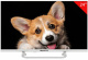 фото Телевизор  TopDevice TDTV24CS03H_WE