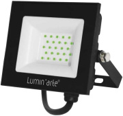 фото Прожектор Lumin'arte LFL-30W/07