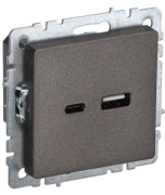 фото Розетка USB IEK BR-U22-018-K45