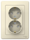 фото Розетка  Systeme Electric BLNRS001122 в Самаре