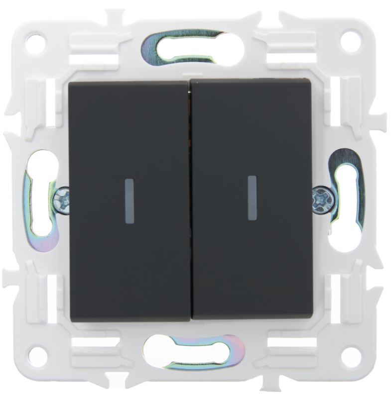 

Переключатель двухклавишный IEK SK-V22-1-10-K53 SKANDY с инд. 10А SK-V10G графит, SK-V22-1-10-K53