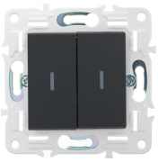 фото Переключатель двухклавишный IEK SK-V22-1-10-K53