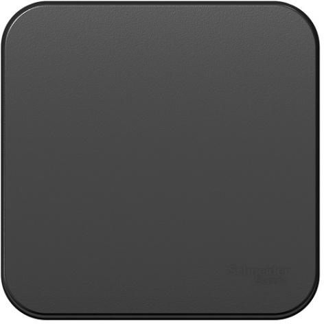 Изображение товара Выключатель Systeme Electric BLNCA101016