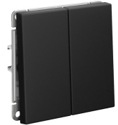 фото Выключатель двухклавишный  Systeme Electric GAL001017S