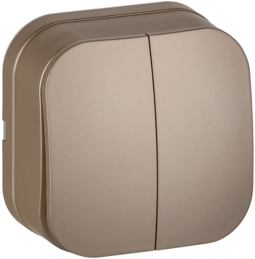 

Выключатель двухклавишный IEK EVH20-K37M-10 GLORY для открытой установки 10А ВС20-2-0-ХШм шампань матовый, EVH20-K37M-10