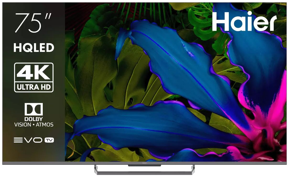 

Телевизор Haier DH1WVJD02RU серый QLED S6 Frameless 4K UHD 144Hz MEMC DVB-T DVB-T2 DVB-C DVB-S DVB-S2 USB WiFi Smart TV, DH1WVJD02RU