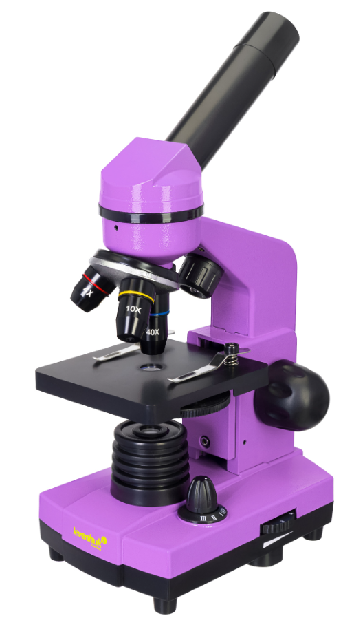 

Микроскоп Levenhuk Rainbow 2L 69036 amethyst, Rainbow 2L