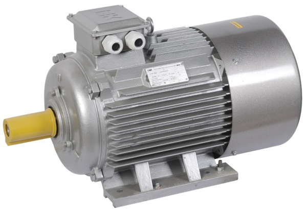 Изображение товара Электродвигатель IEK DRV250-S6-045-0-1010