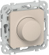 фото Светорегулятор  IEK FI-D22-0250-P-K88