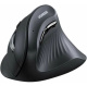 фото Мышь wireless UGreen MU008S в Санкт-Петербургe