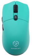 фото Мышь Wireless  Raskat MG006TR