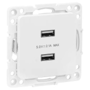фото Розетка USB двухместная EKF EYR16-028-10-2USB