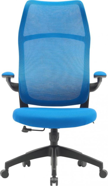 фото Кресло  Cactus CS-MC505-BL в Екатеринбурге