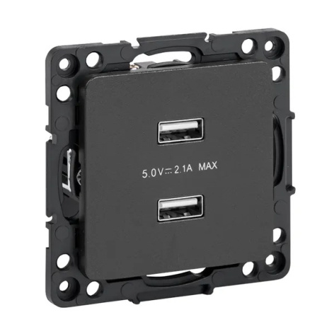 фото Розетка USB двухместная  EKF EZR16-028-10-2USB в Челябинске