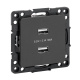 фото Розетка USB двухместная  EKF EZR16-028-10-2USB в Челябинске