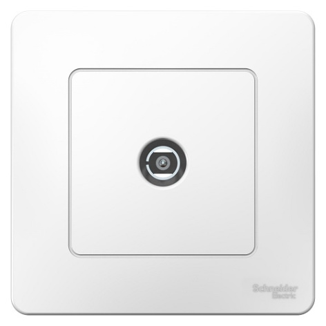 фото Розетка  Systeme Electric BLNTS000011 в Казани