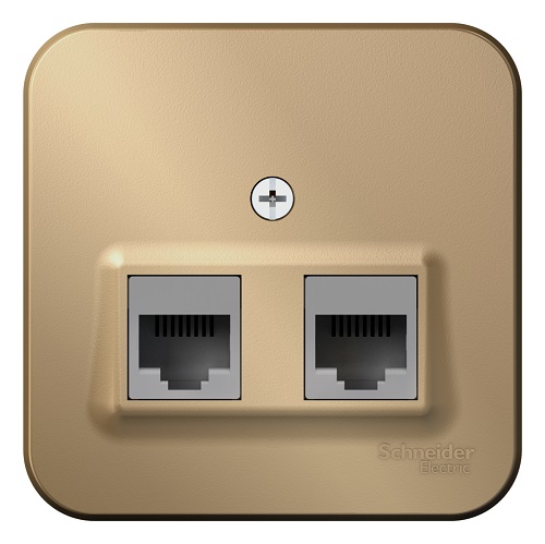 

Розетка Schneider Electric BLNIA045454 2-ая компьютерная RJ45, кат.5E, изолир. пластина Титан наруж, BLNIA045454