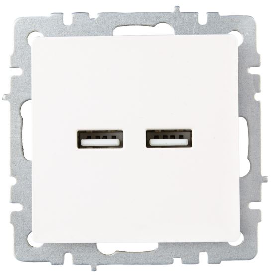 

Розетка USB IEK BR-U21-D31-K36 BRITE тип A+тип A 3,1А РЮ10-1-БрЖ Жемчужный, BR-U21-D31-K36