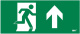 фото Знак Наклейка IEK LPC10-1-33-14-FVERH