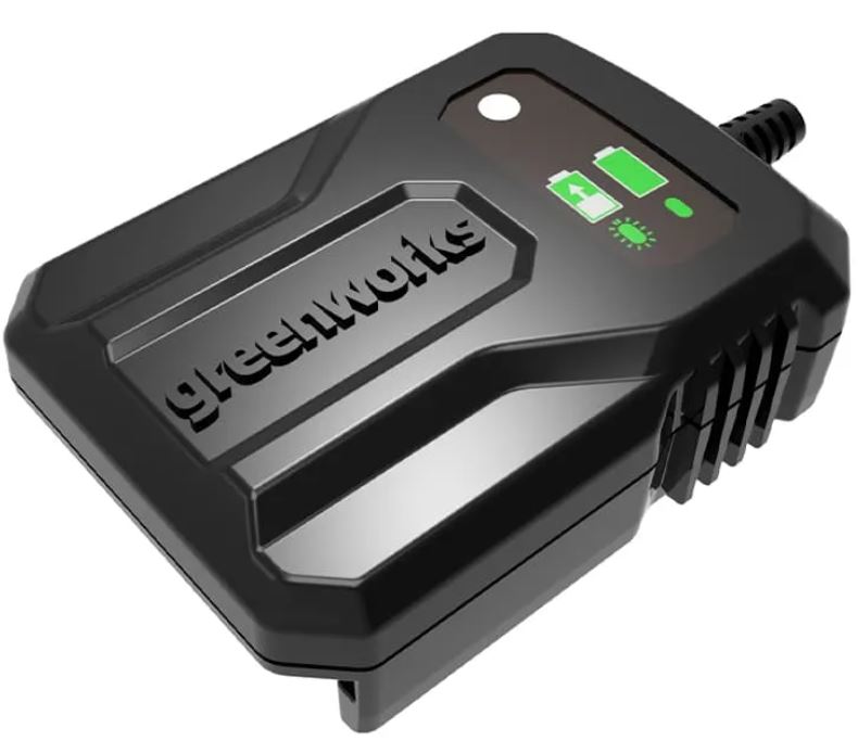 Зарядное устройство Greenworks G24UC2