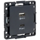фото Розетка USB двухместная  EKF EZR-2USB-type-C в Челябинске