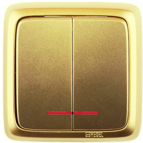 Изображение товара Двухклавишный выключатель HEGEL ВА10-154-07 для светa и освещения