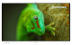 фото Интерактивный комплекс  Geckotouch 75RT в Воронеже