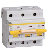фото Автоматический выключатель IEK MVA40-3-025-D