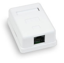 

Розетка Cabeus WS-8P8C-Cat.5e-1 компьютерная RJ-45, категория 5e, одинарная, внешняя, Krone type, WS-8P8C-Cat.5e-1