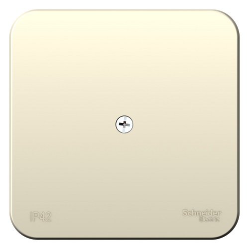 

Коробка распределительная Schneider Electric BLNRK000012 Молочная наруж, BLNRK000012