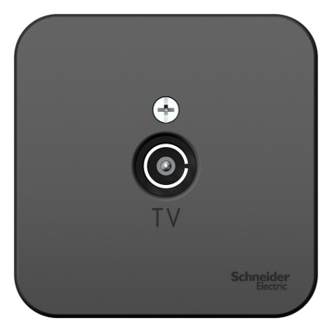 фото Розетка  Systeme Electric BLNTA000016 в Омске