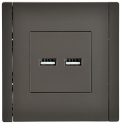 фото Розетка USB IEK FP-U21-D31-K03