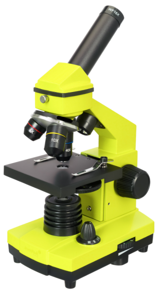 Изображение товара Микроскоп Levenhuk Rainbow 2L PLUS для обучения и исследований