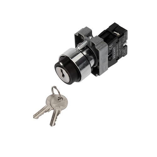 

Переключатель Rexant 36-5552 BD21 2P с замком NO, 36-5552
